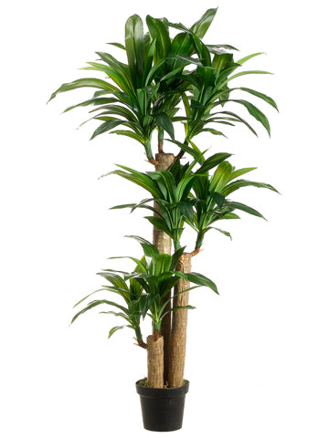 Artificial Trees | Collection of Silk Trees | Silk Plants Direct