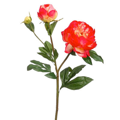 Silk Artificial Peony Flowers – Silk Plants Direct