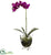 Silk Plants Direct Phalaenopsis Elegance Arrangement - Pack of 1