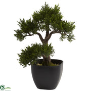 Artificial Bonsai Trees | Silk Bonsai Trees | Silk Plants Direct