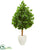 Silk Plants Direct Evergreen Artificial Tree - Pack of 1