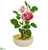 Silk Plants Direct Rose Artificial Arrangement - Pink - Pack of 1