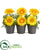Silk Plants Direct Gerber Daisy Artificial Arrangement - Yellow - Pack of 1