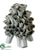 Ceramic Coral - Green - Pack of 1