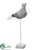 Twig Sea Gull - White Blue - Pack of 3