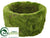 Container - Green - Pack of 12