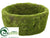 Container - Green - Pack of 12