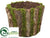 Container - Green Brown - Pack of 12