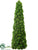 Moss Egg Topiary - Green - Pack of 2