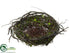 Silk Plants Direct Bird Nest - Green Brown - Pack of 6