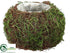 Silk Plants Direct Moss, Twig Container - Green - Pack of 12