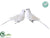 Pearl Bird - White - Pack of 6