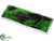 Feather - Green Two Tone - Pack of 12