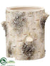 Silk Plants Direct Birch Container - Beige - Pack of 6