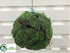 Silk Plants Direct Moss, Soil Hanging Orb - Green - Pack of 6