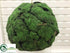 Silk Plants Direct Moss, Soil Hanging Orb - Green - Pack of 1