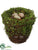 Bird Nest with Eggs - Brown Green - Pack of 6