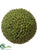 Seed Orb - Green - Pack of 6