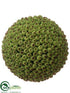 Silk Plants Direct Seed Orb - Green - Pack of 6