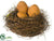 Bird Nest - Brown - Pack of 4