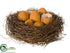 Silk Plants Direct Birdnest - Brown - Pack of 2