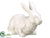 Bunny - White - Pack of 6