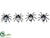 Spider - Black Silver - Pack of 12