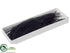 Silk Plants Direct Glittered Feather - Black - Pack of 4