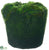 Silk Plants Direct Moss, Soil Planter - Green - Pack of 12