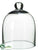 Glass Dome - Clear - Pack of 6