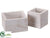 Wood Container - Whitewashed - Pack of 6