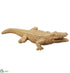 Silk Plants Direct Crocodile - Beige - Pack of 1