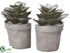 Silk Plants Direct Echeveria Bookend - Green Gray - Pack of 2