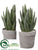 Bookend - Green Gray - Pack of 2