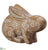 Carved Bunny - Brown Whitewashed - Pack of 2