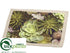 Silk Plants Direct Placemat - Green Beige - Pack of 6