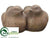 Planter - Beige Brown - Pack of 2