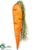 Carrot - Orange - Pack of 16