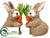 Bunny - Brown Beige - Pack of 4