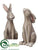 Bunny - Gray Beige - Pack of 3