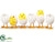 Chicken - Yellow White - Pack of 8