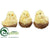 Chicks - Yellow - Pack of 4