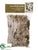 Reindeer Moss - Natural Beige - Pack of 6