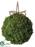 Silk Plants Direct Preserved Reindeer Moss Ball - Green - Pack of 2