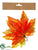 Silk Plants Direct Maple Leaf - Orange Red - Pack of 24