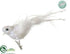 Silk Plants Direct Bird - White Glittered - Pack of 12