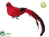 Silk Plants Direct Singing Bird - Red - Pack of 12
