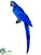 Macaw - Blue - Pack of 6