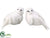 Bird - White Glittered - Pack of 12