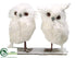 Silk Plants Direct Snow Owl - White - Pack of 6